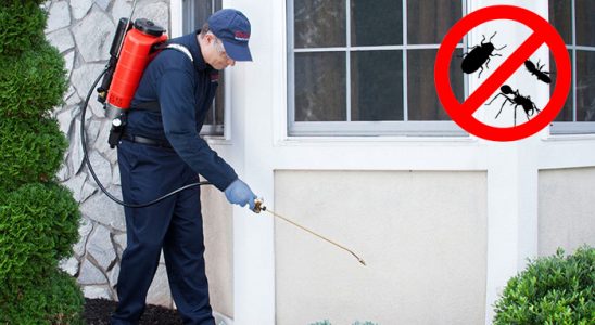 Kadınhanı Karınca İlaçlama böcek ilaçlama ve haşere kontrolü — ilaclama-tr.com